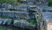 Percorso Marcia Ciney - Achene 110322 - Photo 6