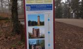 Tour Wandern Hagen - Château du Haut Barr et environs  - Photo 10