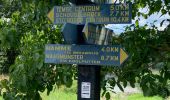 Tour Rennrad Bornem - Stille waters - Photo 1