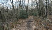 Trail Walking Écaussinnes - Ecaussinnes et le Bois de la Houssiere - Photo 12