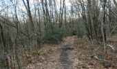 Excursión Senderismo Écaussinnes - Ecaussinnes et le Bois de la Houssiere - Photo 12