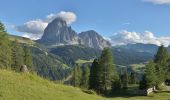 Tocht Te voet Santa Cristina Gherdëina - St. Christina in Gröden - Santa Cristina Valgardena - Raida di Mejes - Photo 2