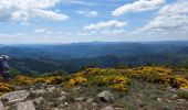 Trail Walking Alzon - vers le St guiral puis le rocher de l'aigle - Photo 9