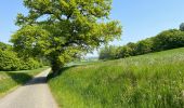 Trail Walking Ormoy-le-Davien - 030422 - Direction Vaucienne puis Vaumoise et Cave du diable - Photo 12