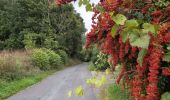 Tour Wandern Coteaux-sur-Loire - Saint-Patrice les Prés Bédoué - GRP Étang Chêne Meunier Ingrandes-de-Touraine - 20.4km 315m 4h35 (1h10) - 2024 10 03 - Photo 12