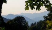 Tocht Te voet Kapfenberg - Romantischer Bründlweg - Photo 4