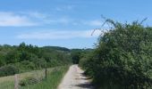 Randonnée Marche Esneux - 3e étape du GR57 - ESNEUX TO COMBLAIN-LA-TOUR  - Photo 2