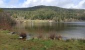 Excursión Senderismo Gérardmer - tour du lac et cascade Merelle  - Photo 1