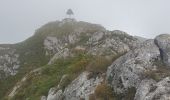 Tocht Stappen Culoz - le grand colombier - Photo 16