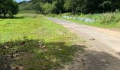 Trail Trail Sainte-Anne - La boucle  - Photo 1