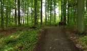Trail Walking Hoeilaart - groenendael_0521 - Photo 1