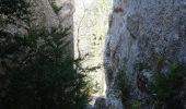 Trail Walking Die - Ausson - Montagne de Gavet (Diois) - Photo 7