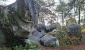 Tocht Stappen Fontainebleau - Sentier Denecourt 7 - Photo 12