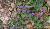 Tour Wandern Lussas - Lussas : Oppidum de Jastre -Camp de Cesar14km. - Photo 2