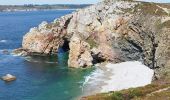 Trail Walking Crozon - Goulien-Pointe de Dinan et retour par les terres  - Photo 2