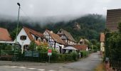 Tour Wandern Niedersteinbach - GR5J2 - Photo 5