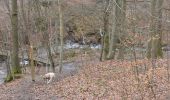 Tour Wandern Spa - 20230313 - Sauveniere 6.5 Km - Photo 18