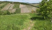 Tocht Stappen Leiwen - Zummeterhof 19 km - Photo 8