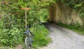 Trail Mountain bike Ormoy-le-Davien - Ormoy le Davien - Rouville en VTT - Photo 7