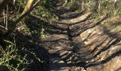 Trail Walking Sprimont - Cascade de CHANXHE 11Km - Photo 6