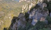 Trail Walking Le Rozier - les corniches du Méjean (la Jonte) - Photo 11