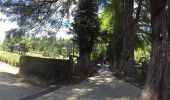 Trail On foot Cinquefrondi - SI (U08) Limina - Fabrizia - Mongiana - Photo 1