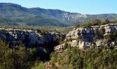 Tour Wandern Tourves - Caramy version courte - Photo 16