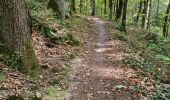 Trail Walking Étréchy - Forêt Régionale d'Etrechy - Photo 19