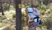 Tour Wandern Aspères - aspere - Photo 4