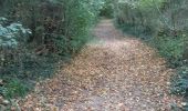 Randonnée Marche Montpeyroux - SUR LE CHEMIN DE L'ARKOSE - Photo 6