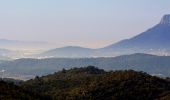 Randonnée Marche Pierrefeu-du-Var - les Baisses - Photo 10