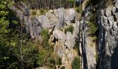 Randonnée Marche Viroinval - fondruy des chiens Nismes - Photo 2