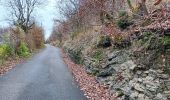 Trail Walking Chaudfontaine - gare - château des thermes /aller via les monts retour via la vesdre  - Photo 17