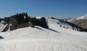 Excursión Raquetas de nieve Manigod - la cime d orcieres  - Photo 5