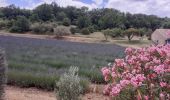 Excursión Senderismo Saint-Montan - Saint Montan - Photo 12