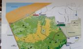 Tour Wandern De Panne - Balade Westhoek avec Lila - Photo 9