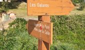 Randonnée Marche Escragnolles - Cascade de Clars Les Galans Escragnolle - Photo 8