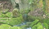 Excursión Senderismo Unknown - Loksado  cascade Haratai et grotte - Photo 6