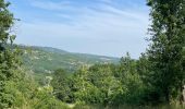 Trail Walking Verfeil-sur-Seye - Boucle verfeil  - Photo 3