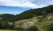 Randonnée Marche Les Plans - Forêt domaniale d'Escandorgue par Roqueredonde et l'Engayresque - Photo 20