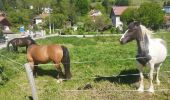Trail Walking Saint-Martin-d'Uriage - St Niez d'Uriage - Photo 2
