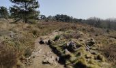 Trail Walking Pluherlin - Rochefort en terre - Photo 18