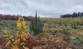 Tocht Stappen Manhay - rando dochamps 27/10/2020 - Photo 19