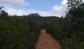 Tocht Stappen Roquebrune-sur-Argens - La Lieutenante - Photo 1