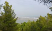 Percorso Marcia Leucate - leucate - la franqui (via le plateau) - phare (via la falaise) - leucate (via le plateau) - Photo 16