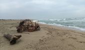 Trail Walking Canet-en-Roussillon - st cyprien, entre mer et étang  - Photo 20