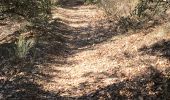 Tocht Stappen Manosque - Crématorium crête du Luberon - Photo 1