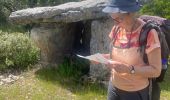 Tour Wandern Bidon - 07 BIDON Dolmen réel Ardèche  - Photo 1