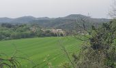 Tocht Stappen Le Pouzin - le Pouzin le couvent des Chèvres vieux Rompon - Photo 6