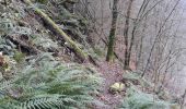 Trail Walking Vresse-sur-Semois - Alle-sur-Semois - Photo 1